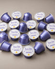 Multipurpose Disinfecting Solution Refills — 20 Capsules (for Commercial Use)
